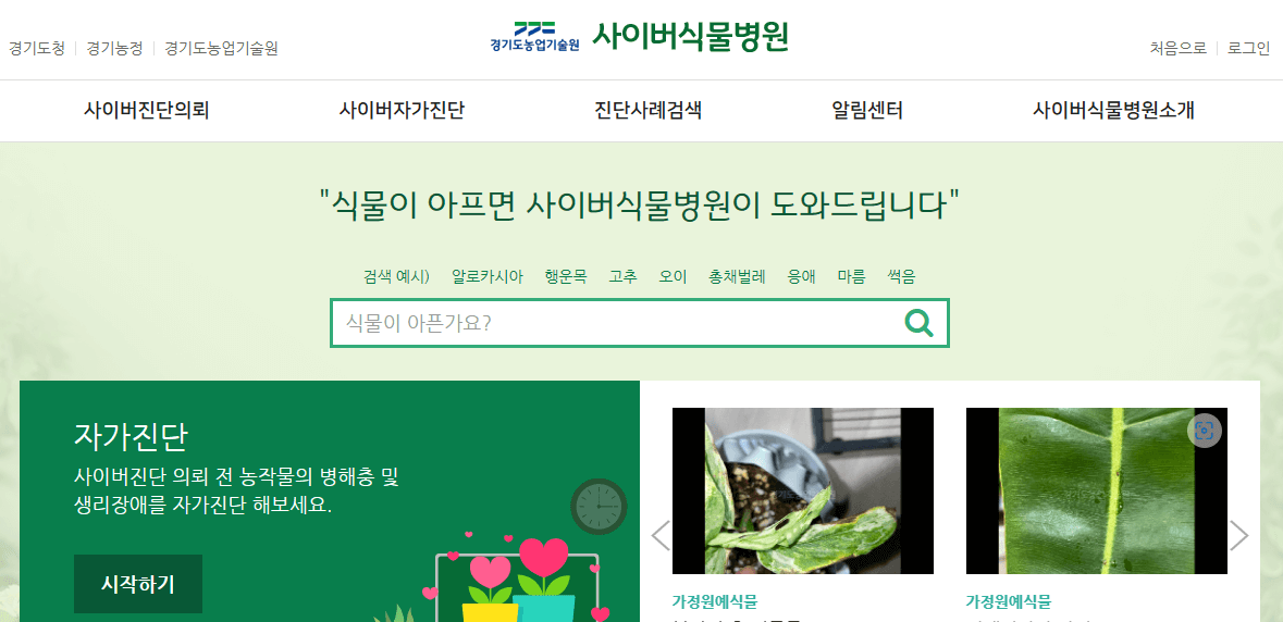 경기도 사이버 식물병원