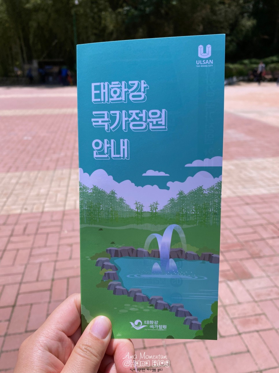 꽃양귀비 [ 울산 여행 ] 한 폭의 수채화♥ 양귀비와 53