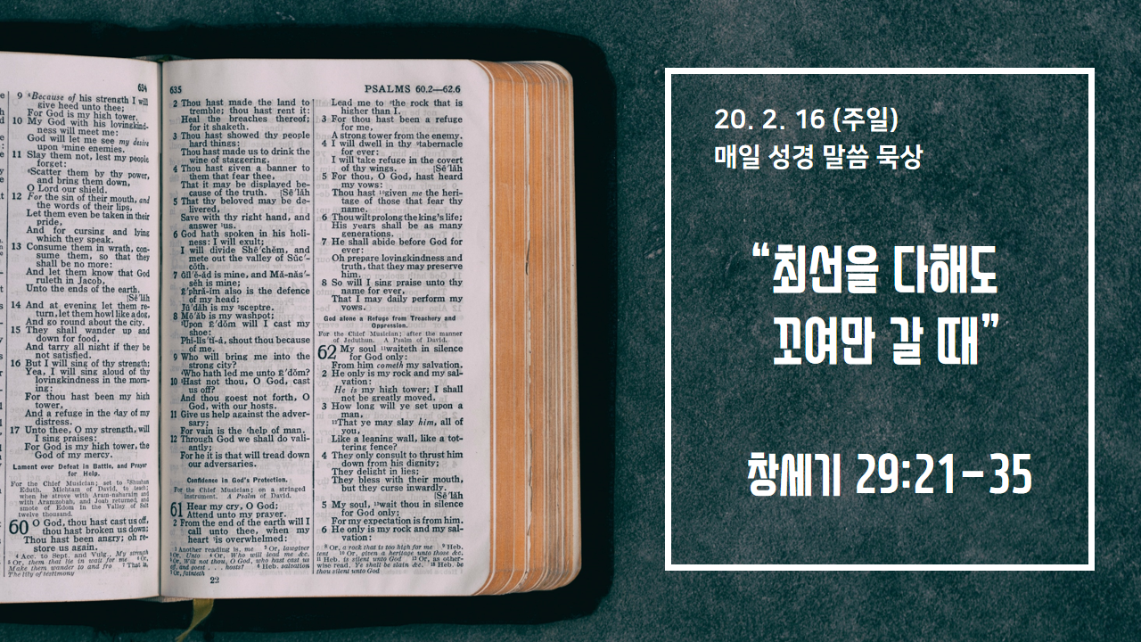  [매일 성경 묵상] 창세기 29장 21-35절