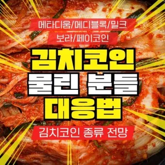 김치코인 종류 전망_4