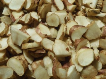 돼지감자 (따탕지)