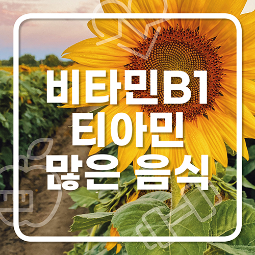 비타민 B1 많은 음식 티아민 결핍