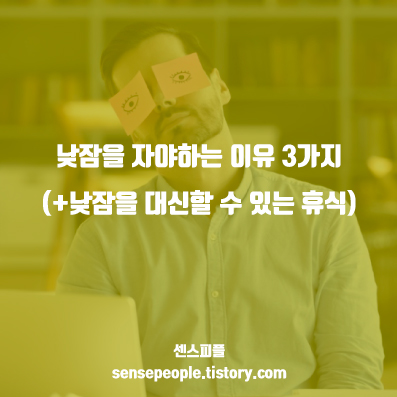  낮잠을 자야하는 이유 3가지 (+낮잠을 대신할 수 있는 휴식)