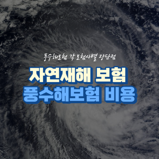 풍수해보험