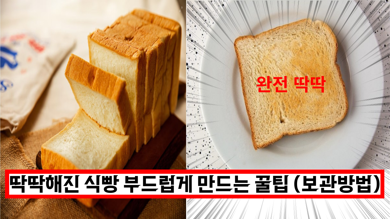  딱딱해진 식빵 부드럽게 만드는 꿀팁 (+보관방법)