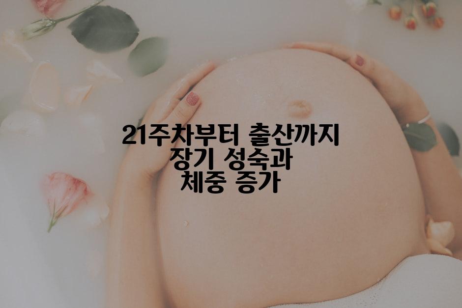 21주차부터 출산까지 장기 성숙과 체중 증가