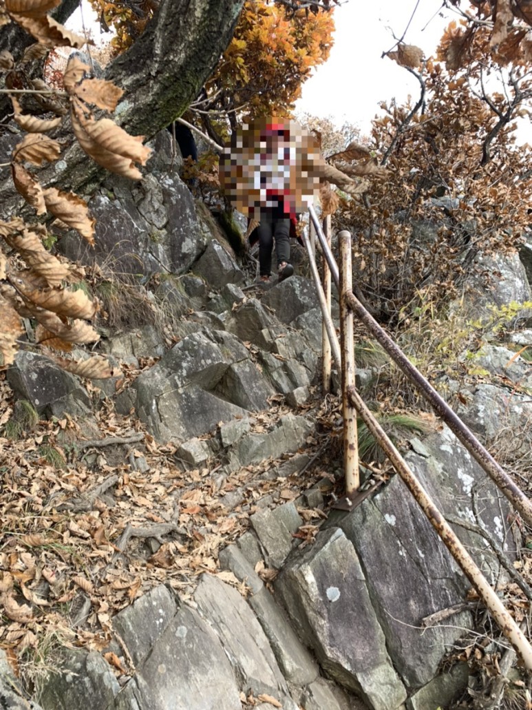 오서산 최단코스 [BAC 100대명산 / 보령 오서산 최단코스] 오서산자연휴양림 ~ 월정사 63