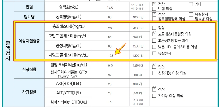 혈액검사-이상지질혈증-검사-수치