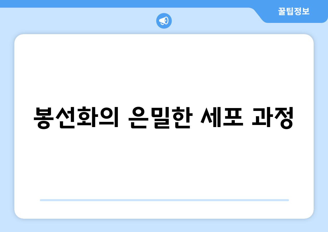 봉선화의 은밀한 세포 과정