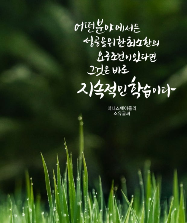 마인드셋 이미지
