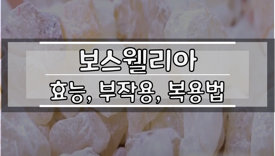  보스웰리아 효능