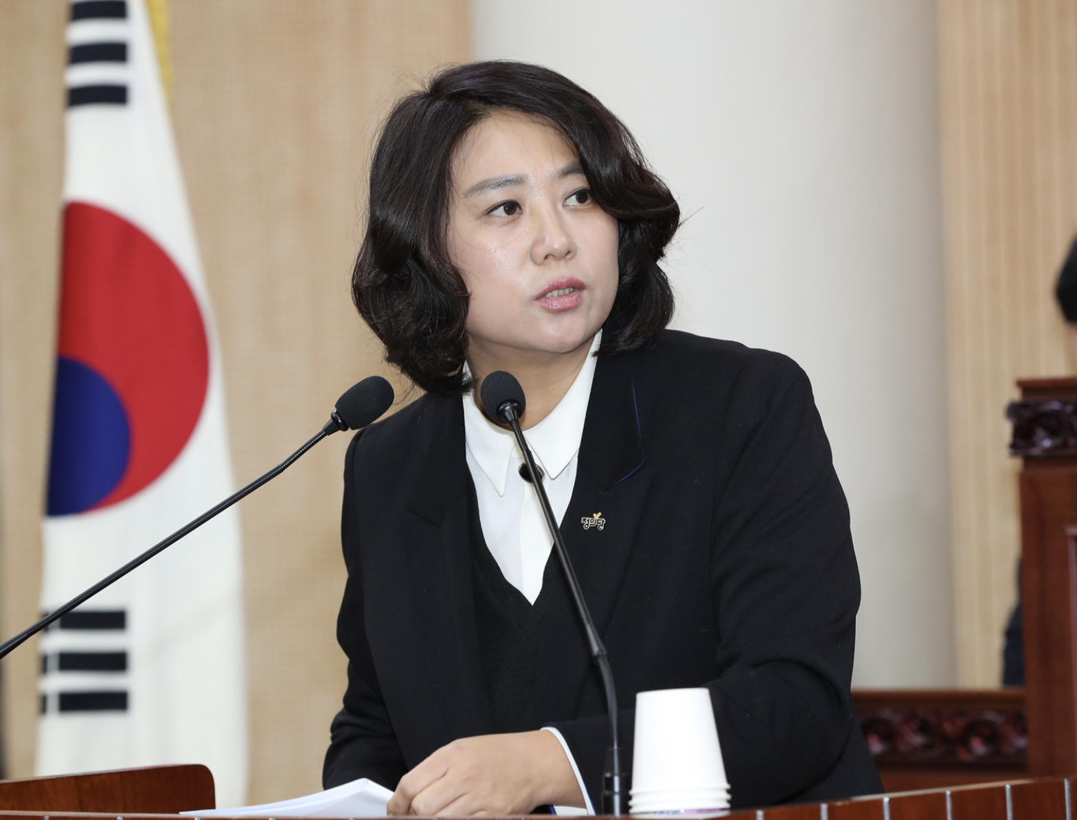  정의당 김혜련 고향 나이 재산 학력 이력 프로필 - 고양시장 출마