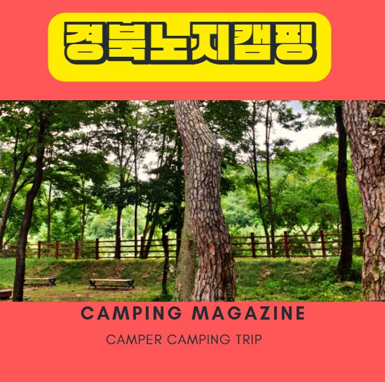  경북 노지 캠핑 청송 구천숲 차박지 개방