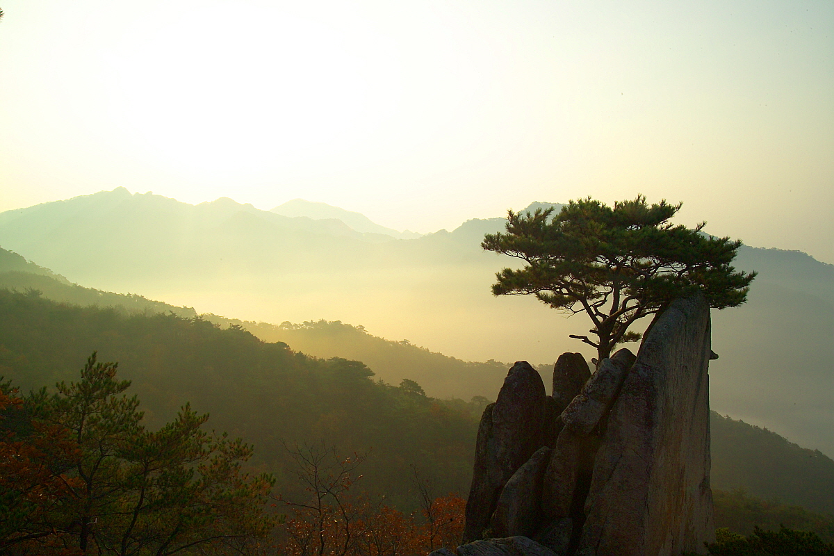 제천 금수산