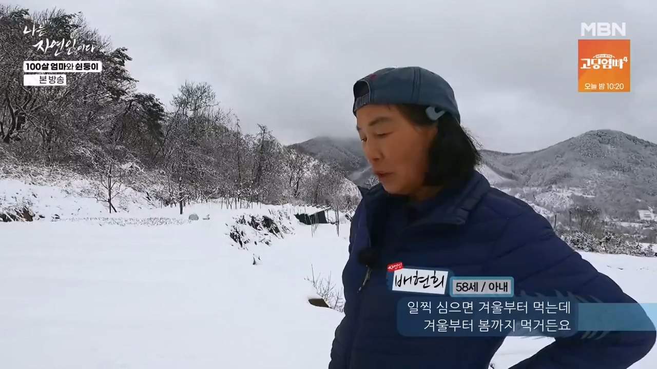 나는 자연인이다.E597.240314p-NEXT.mp4_20240314_195527.776.jpg