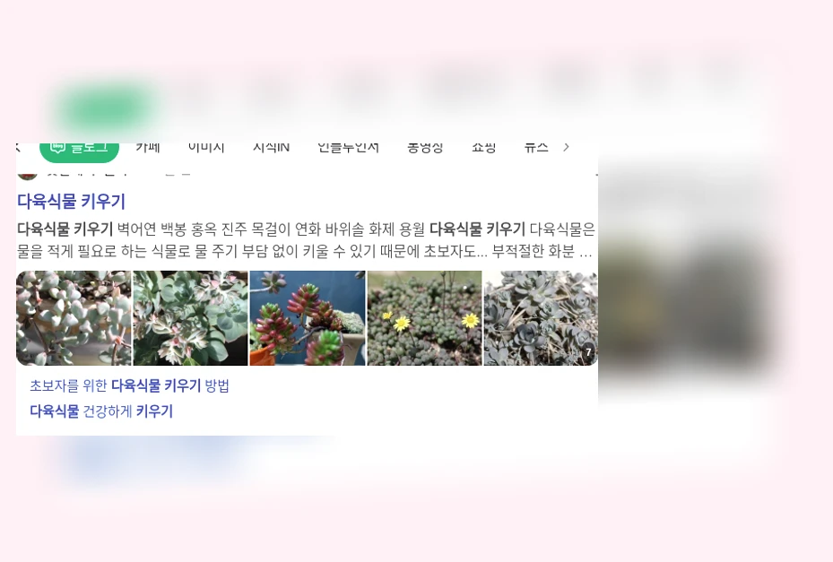 다육식물 키우기_1_subsection