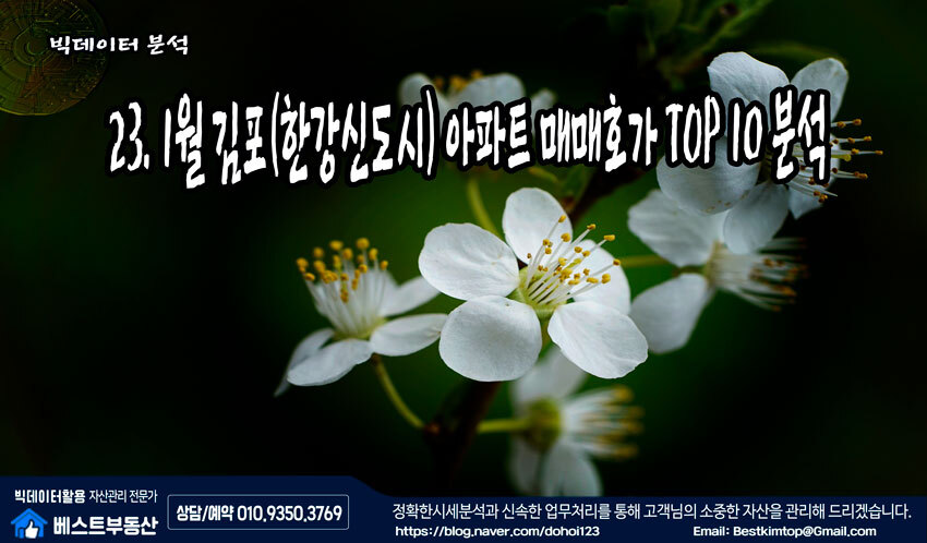  23.2월 김포시(한강신도시) 아파트 매매호가 TOP10 분석 !!!