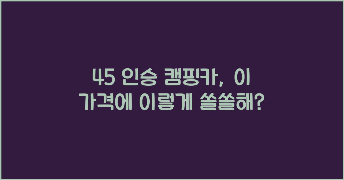45 인승 캠핑카