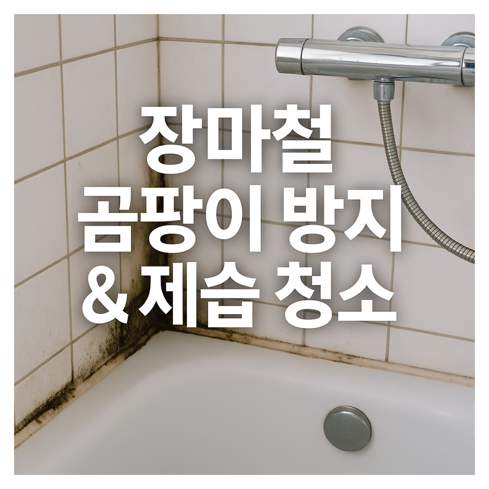 장마철 곰팡이 방지와 제습 청소법｜공간별 실천 가이드