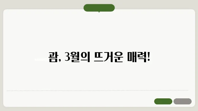 괌 3월 날씨