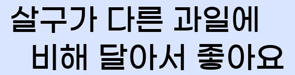  살구가 다른 과일에 비해 달아서 좋아요