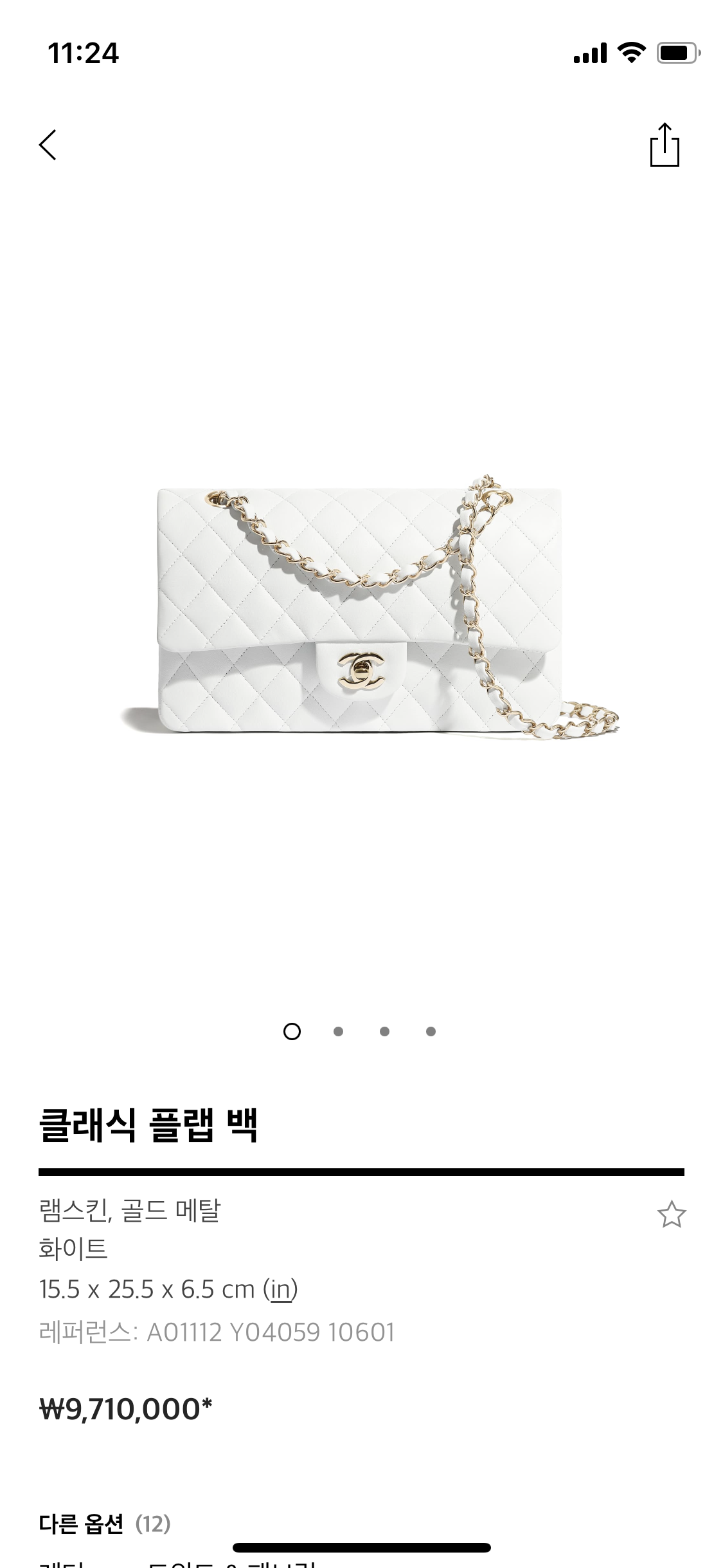  샤넬 가방 종류 가격