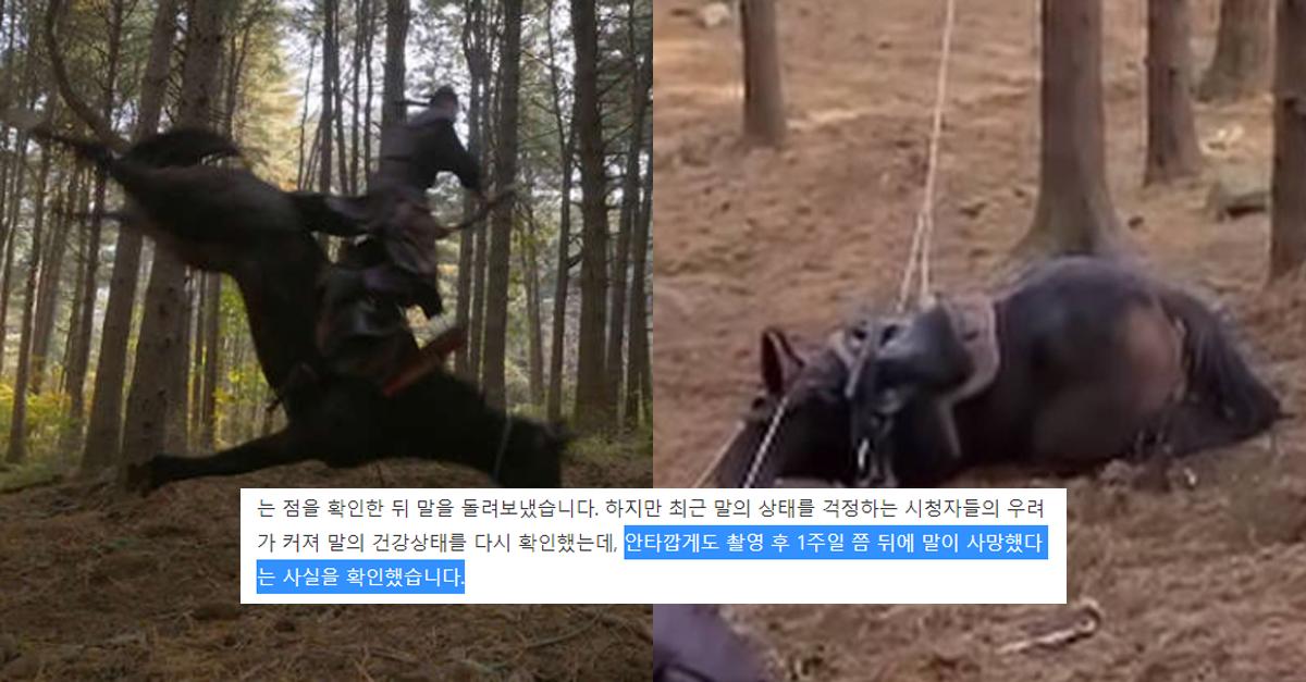  태종 이방원 동물학대 논란 정리(+사과문)