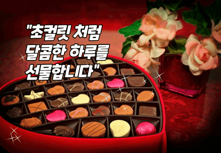 발렌타인데이 초콜릿(2/14) 232