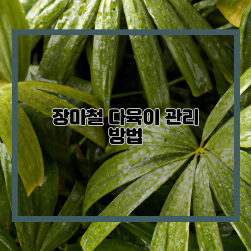  장마철, 다육이에게 필요한 물 주는 법!