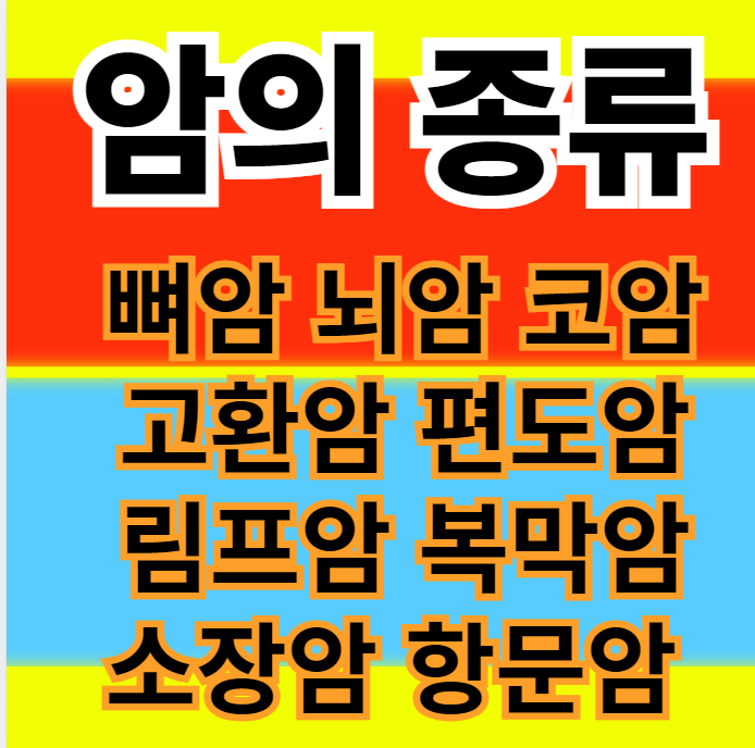  암종류 뼈암 뇌암 코암 고환암 편도암 림프암 복막암 소장암 항문암 콩팥암 쓸개암 증상