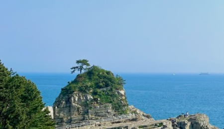 제주 렌트카 요금표