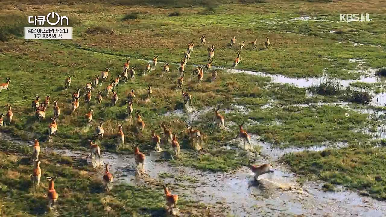 다큐 온.E250.240602p-NEXT.mp4_20240602_152654.750.jpg