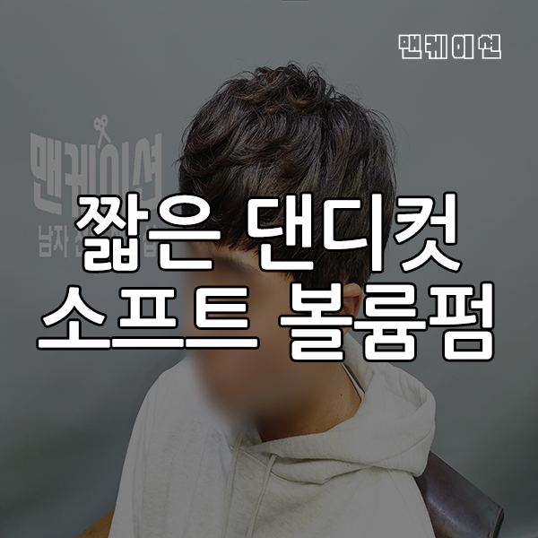과 소프트 투브록볼륨펌 남성 남성 짧은 댄디컷 2