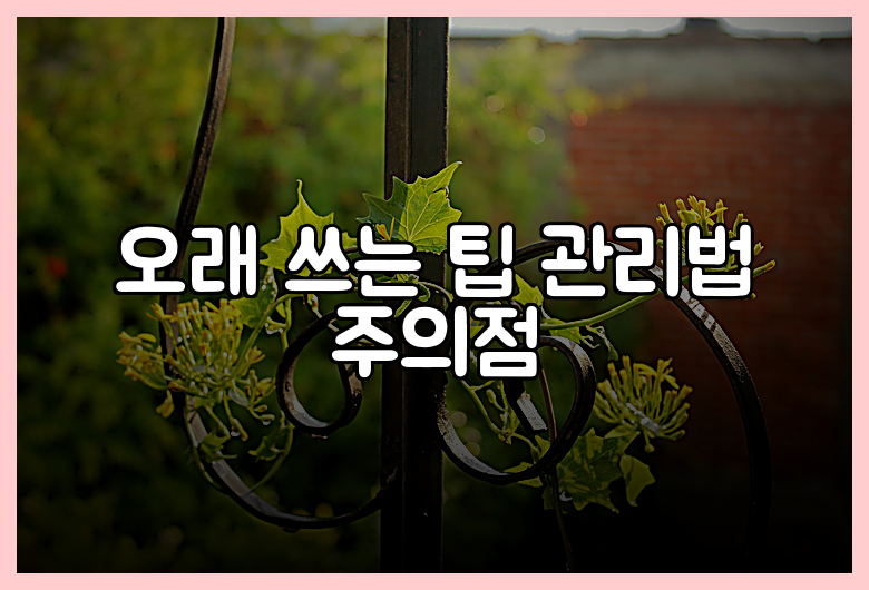 오래 쓰는 팁 관리법 주의점