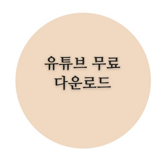  유튜브 동영상 다운로드 사이트 알아보기