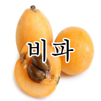 비파