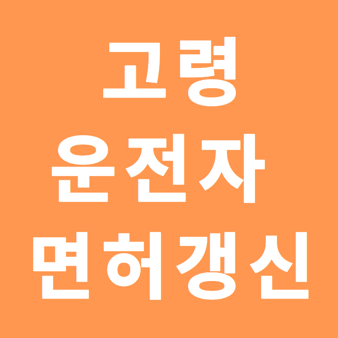 고령 운전자를 위한 적성검사와 면허 갱신의 비밀 고령 운전자를 위한 적성검사와 면허 갱신의 비밀