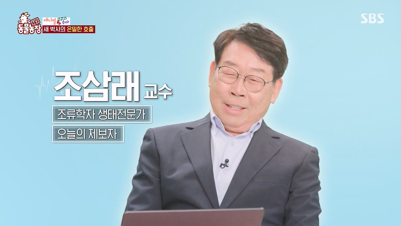 TV 동물농장.E1175.240610p-NEXT.mp4_20240609_160237.466.jpg
