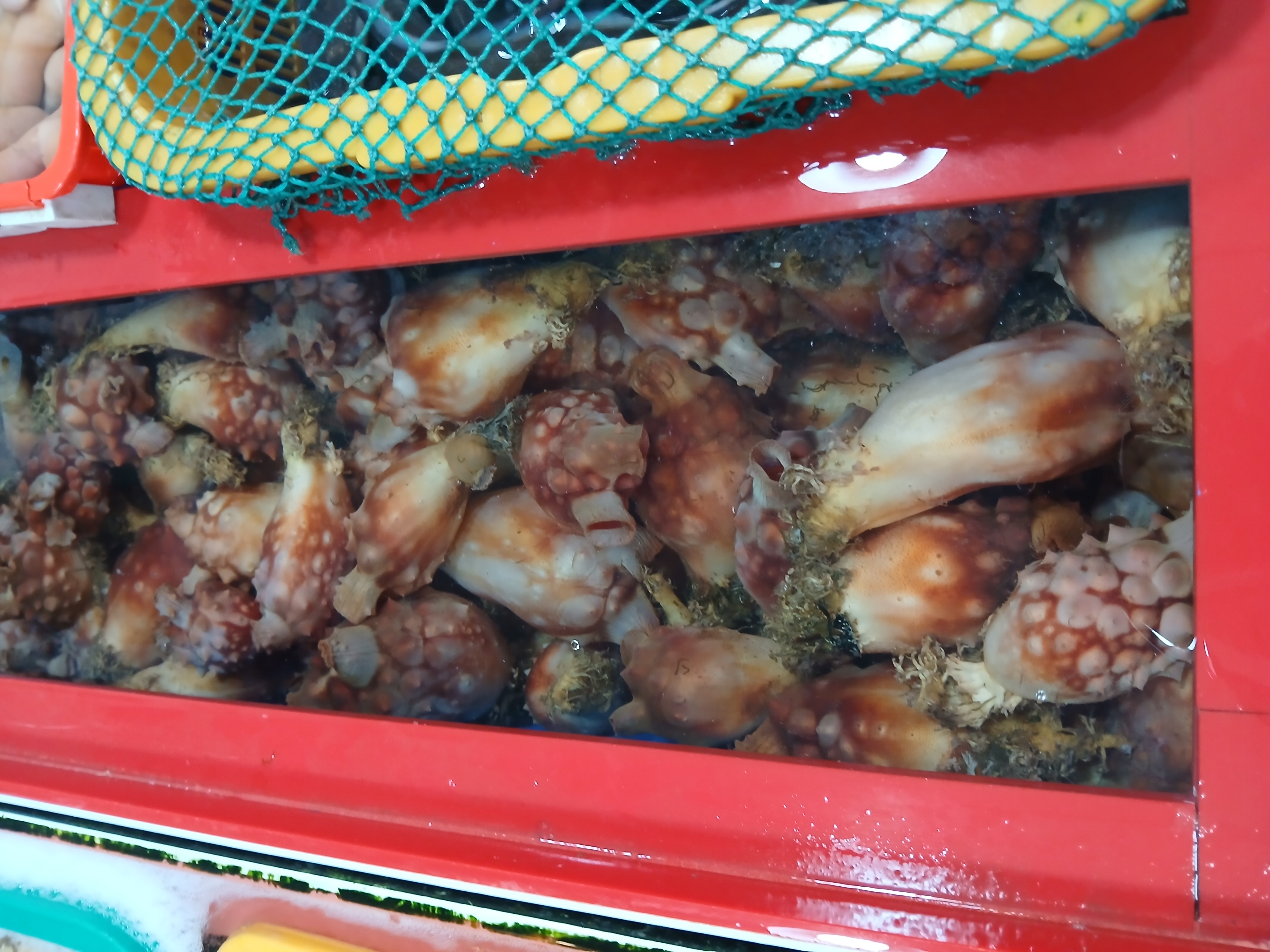 동선수산 이미지