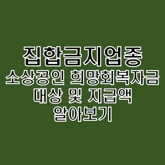  [추가 확정 사항] 집합금지업종 소상공인 희망회복 자금 세부 대상 및 금액 그리고 일정