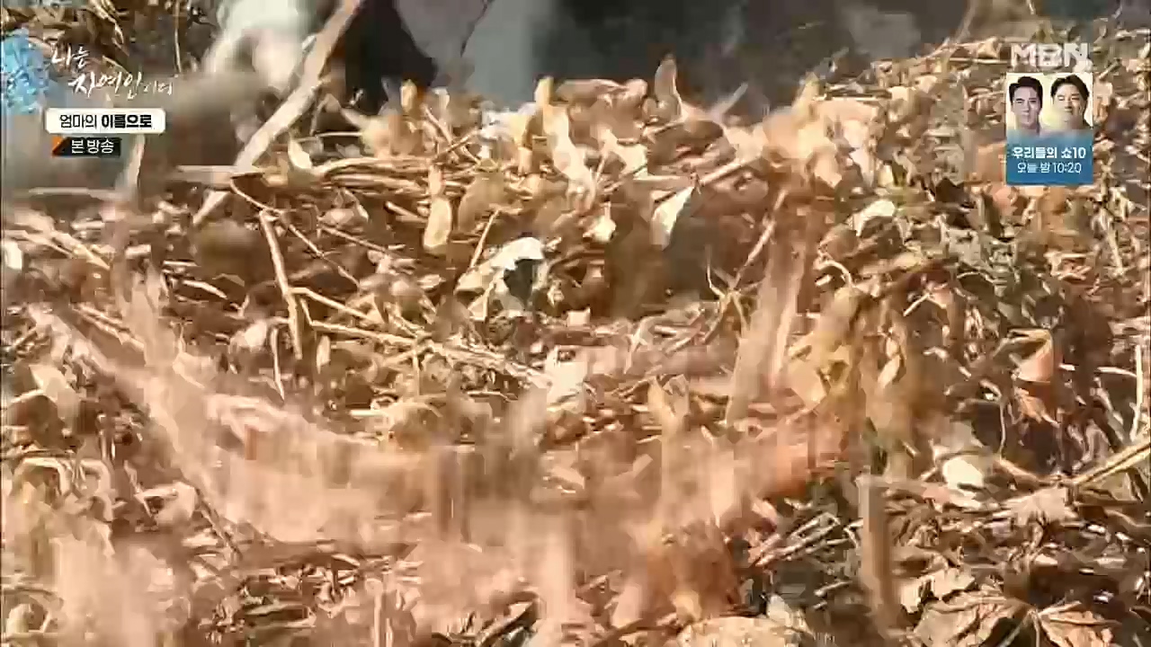 나는 자연인이다.E531.221208p.H264-F1RST.mp4_20221208_204246.418.jpg