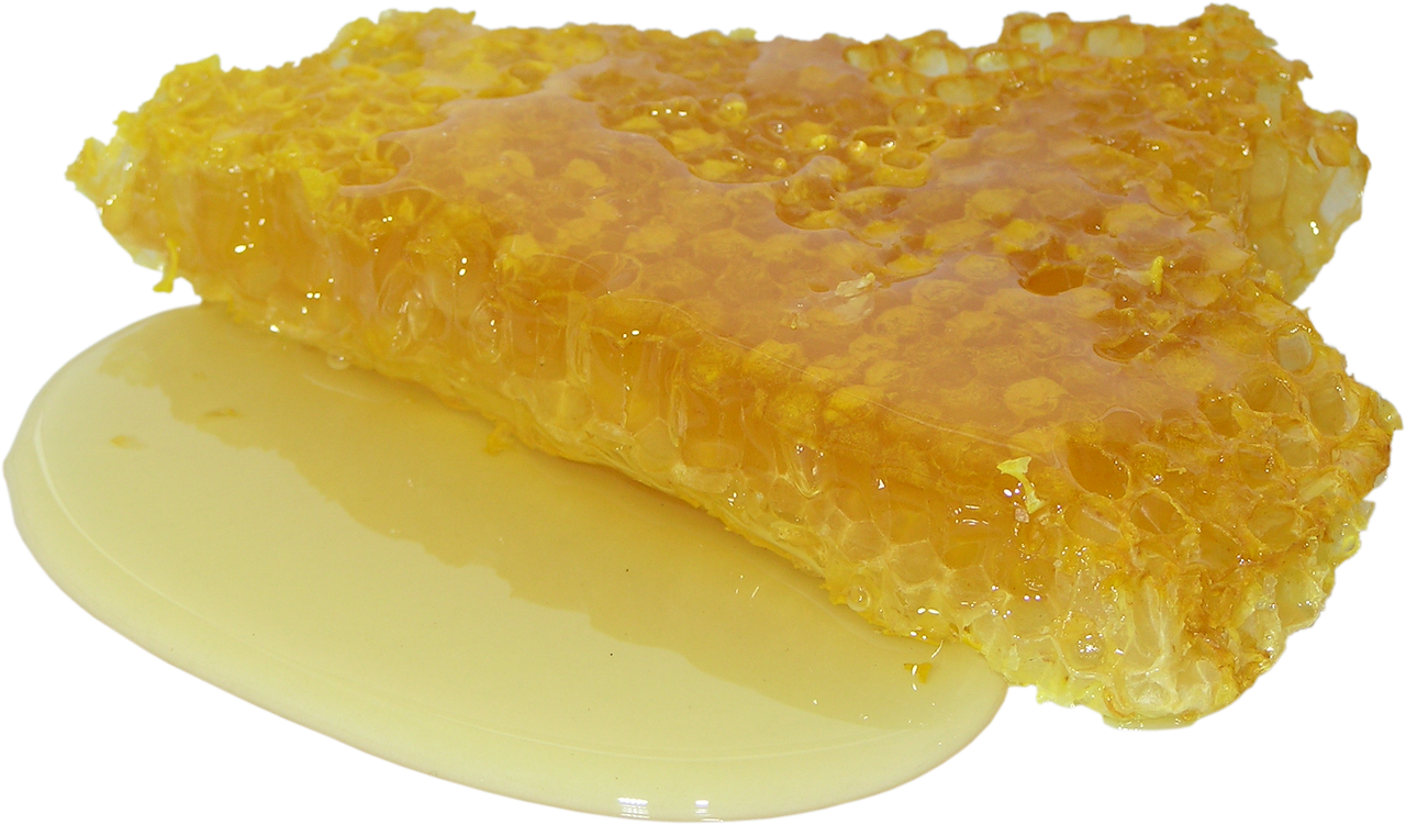 성경음식 꿀 석청