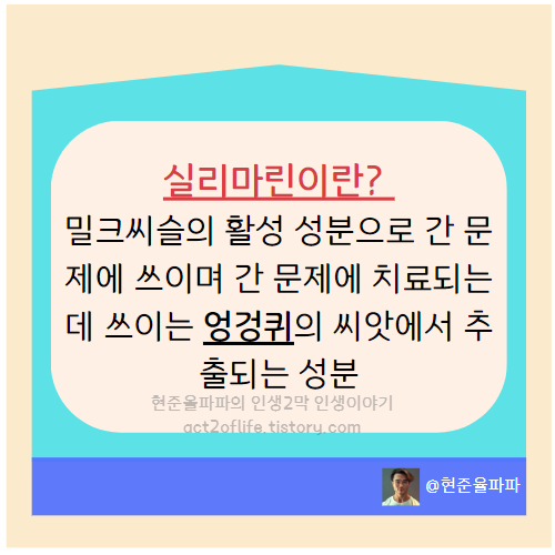 밀크씨슬 간 영양제 효능 5가지 부작용
