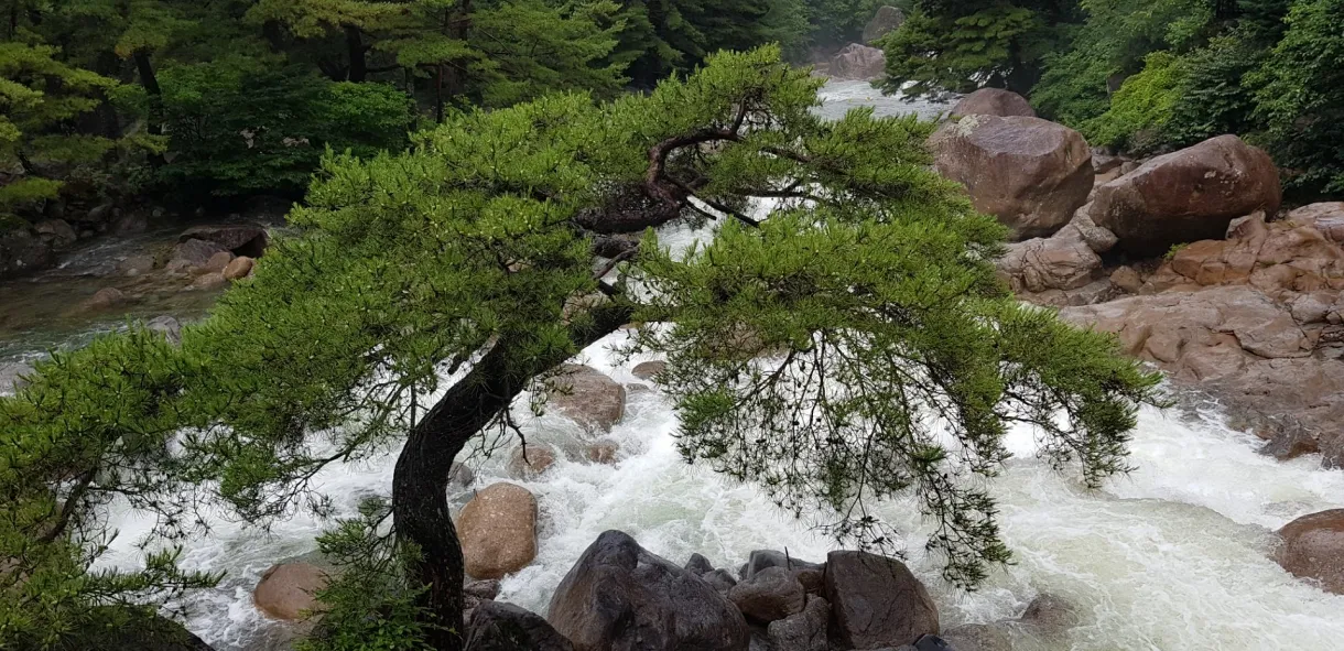 지리산 칠선계곡