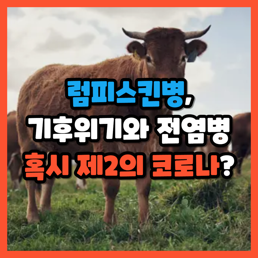 럼피스킨병