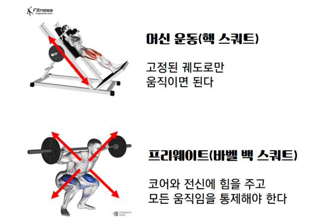  바벨 백 스쿼트 vs 핵 스쿼트, 뭐가 더 나을까?