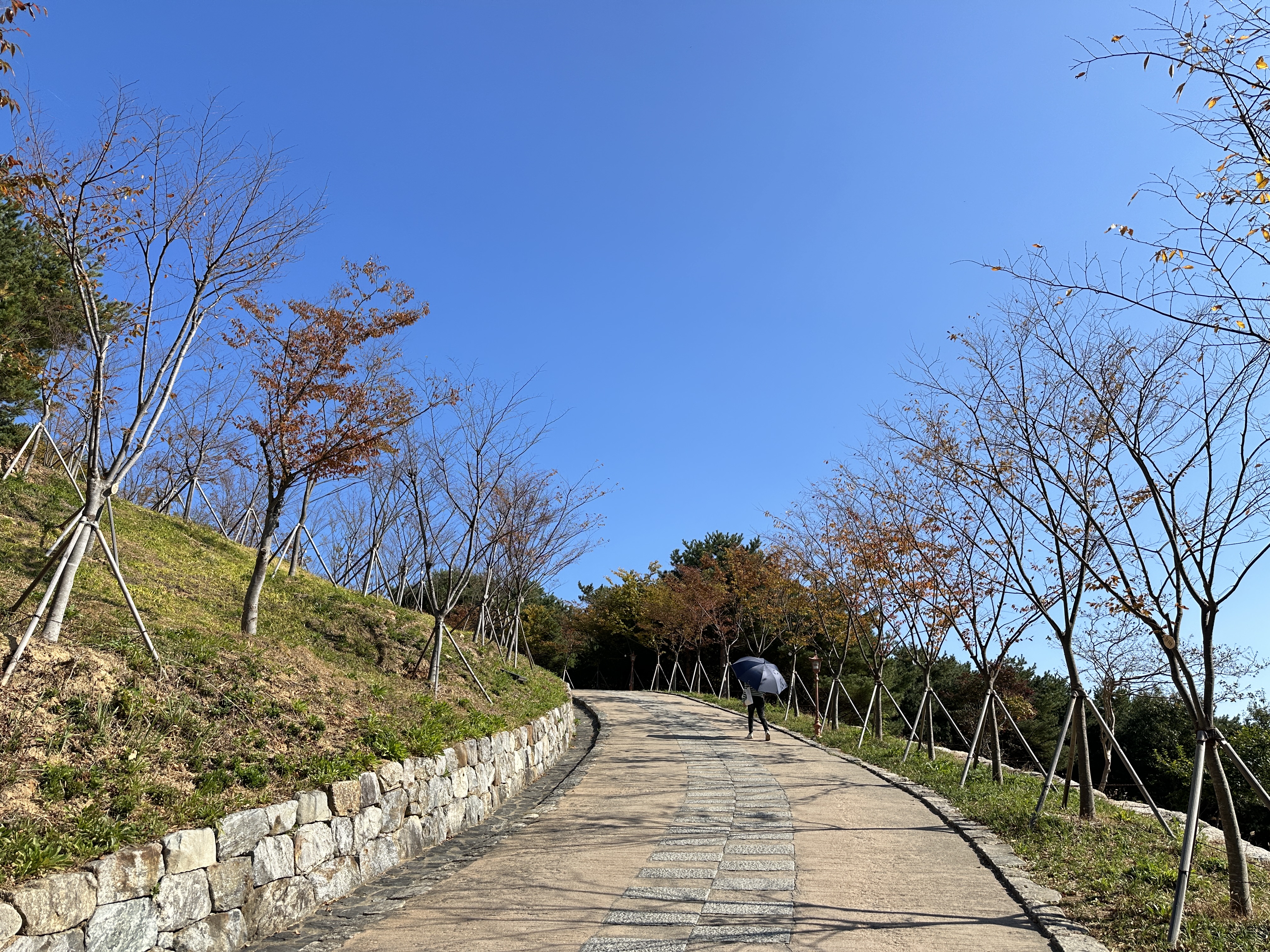 낙산사길 - 설레임이 있는길