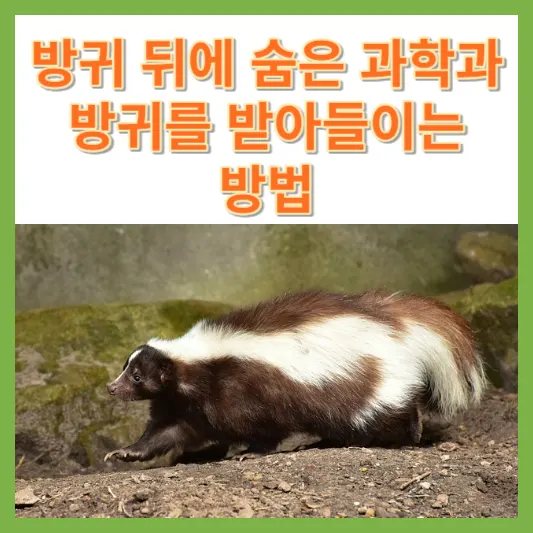 스컹크