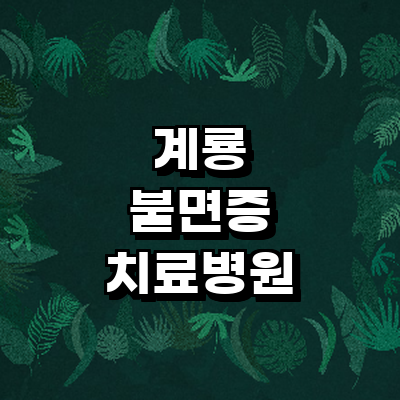 계룡시 불면증