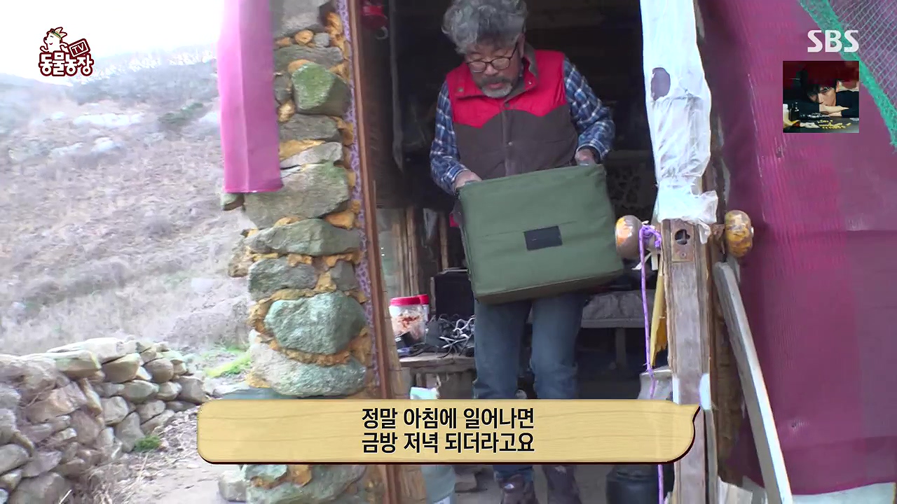 TV 동물농장.E1172.240520p-NEXT.mp4_20240519_162608.437.jpg